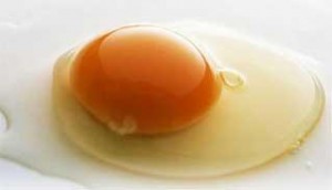 egg