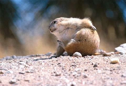 image001111