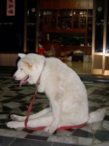 image002222