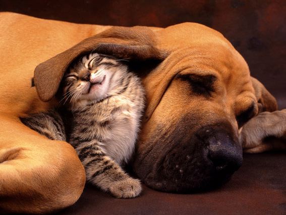 image004444