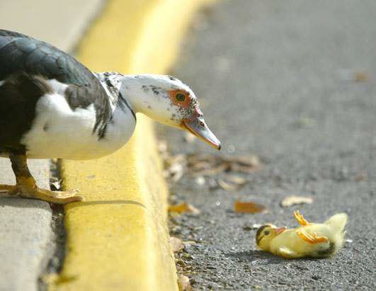 image005555