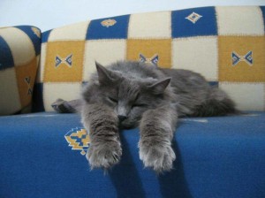 image008888