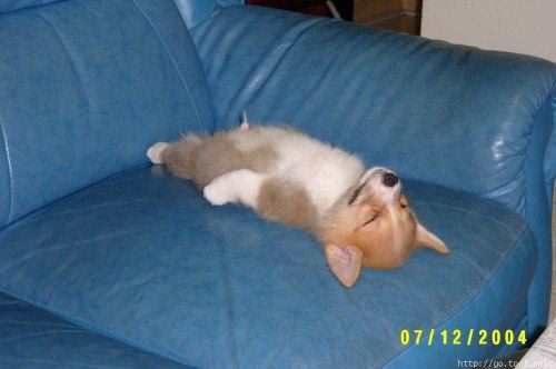 image012121212