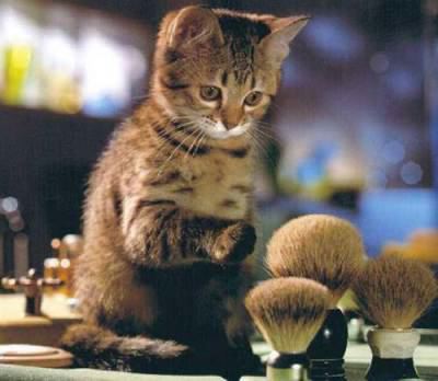 image021212121