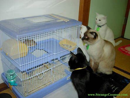 image022222222
