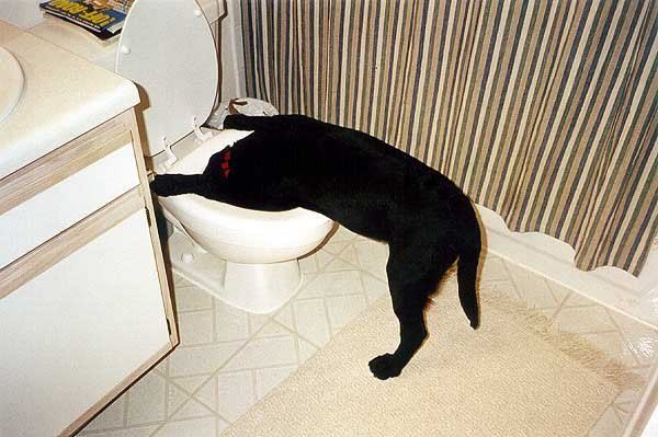 image023232323
