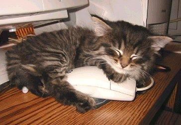 image024242424