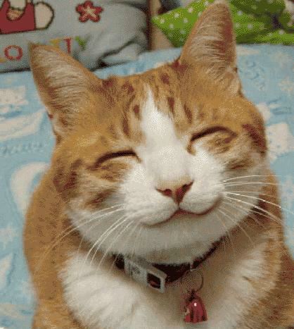 image026262626