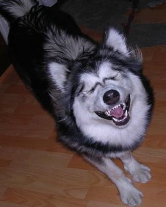 image028282828