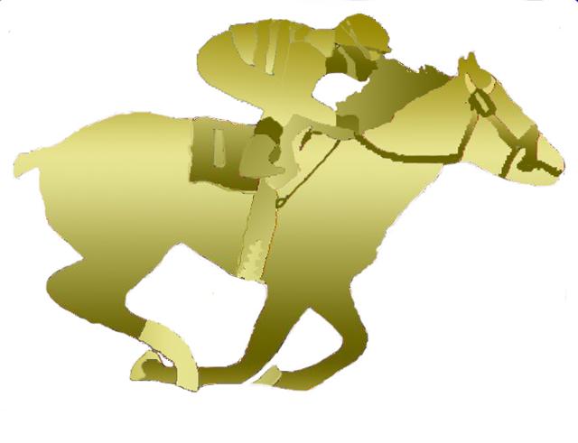 tsphotofinish---horse-racing-13994 (Small)